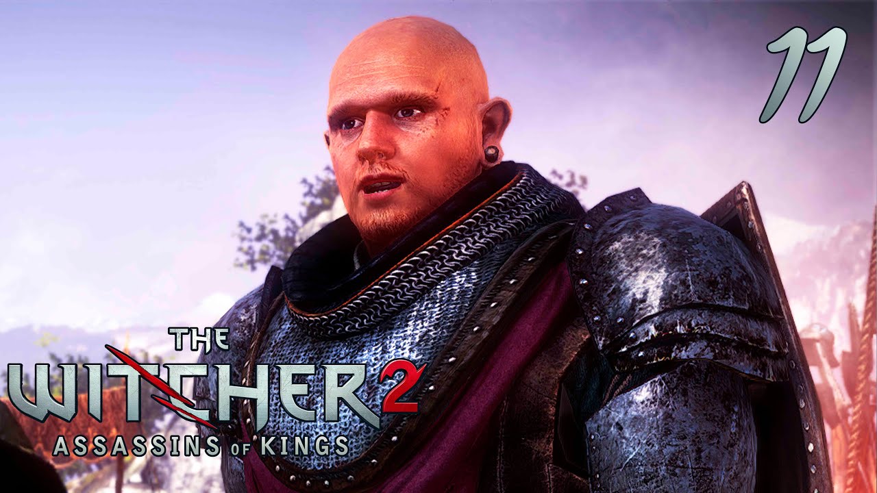 The Witcher 2  ► Мой полосатый друг #11