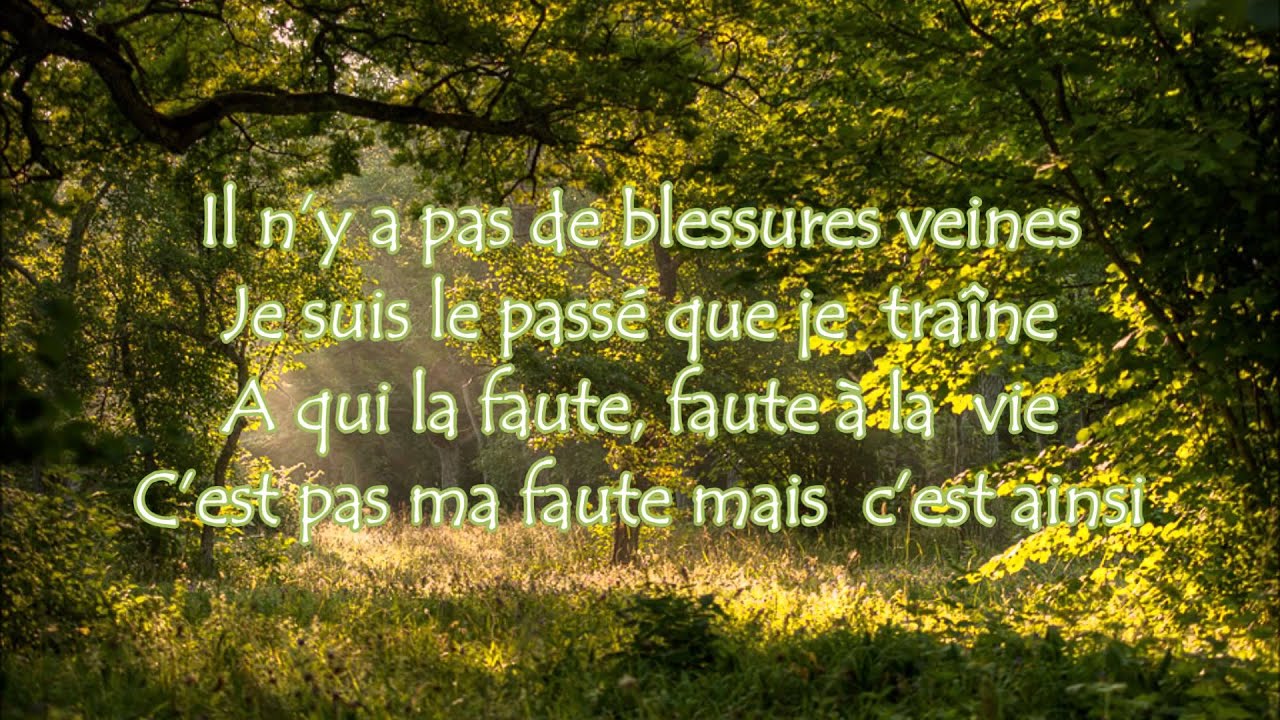 Paroles Mon combat (Tir Nam Beo) La légende du Roi Arthur