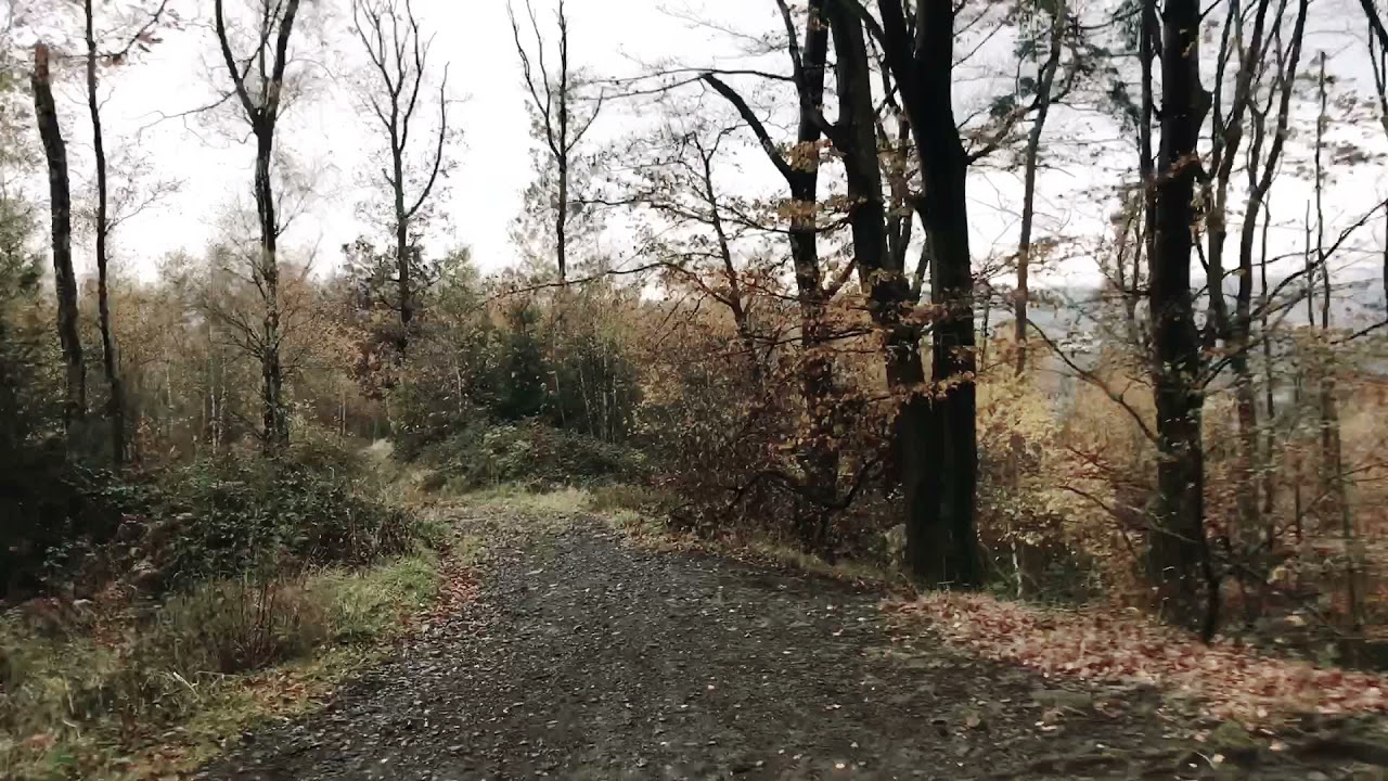 Helikopter Trail Witten