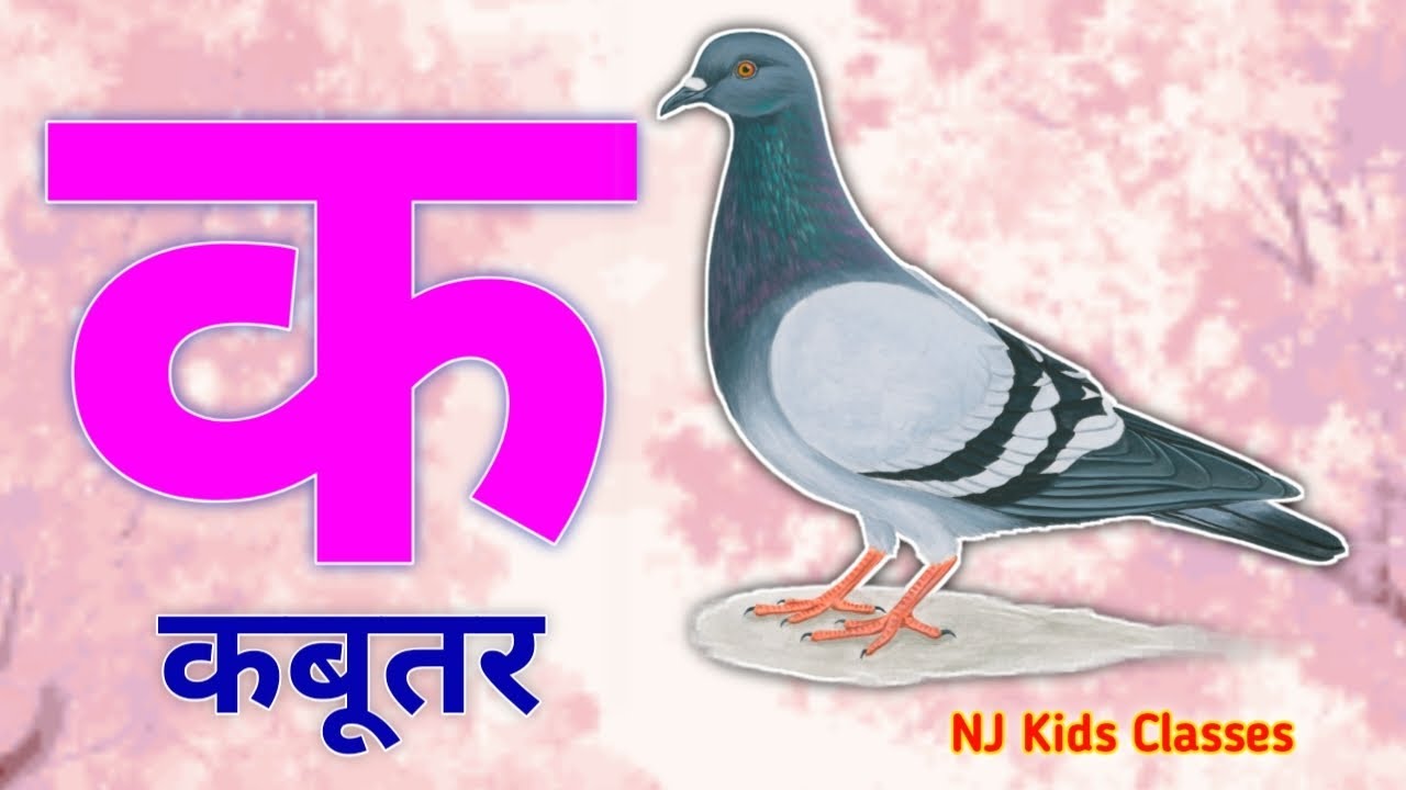 a se anar, aa se aam, hindi varnamala, aaiiuu,k se kabutar,a se anar,aa se aam, hindiswarbyjan