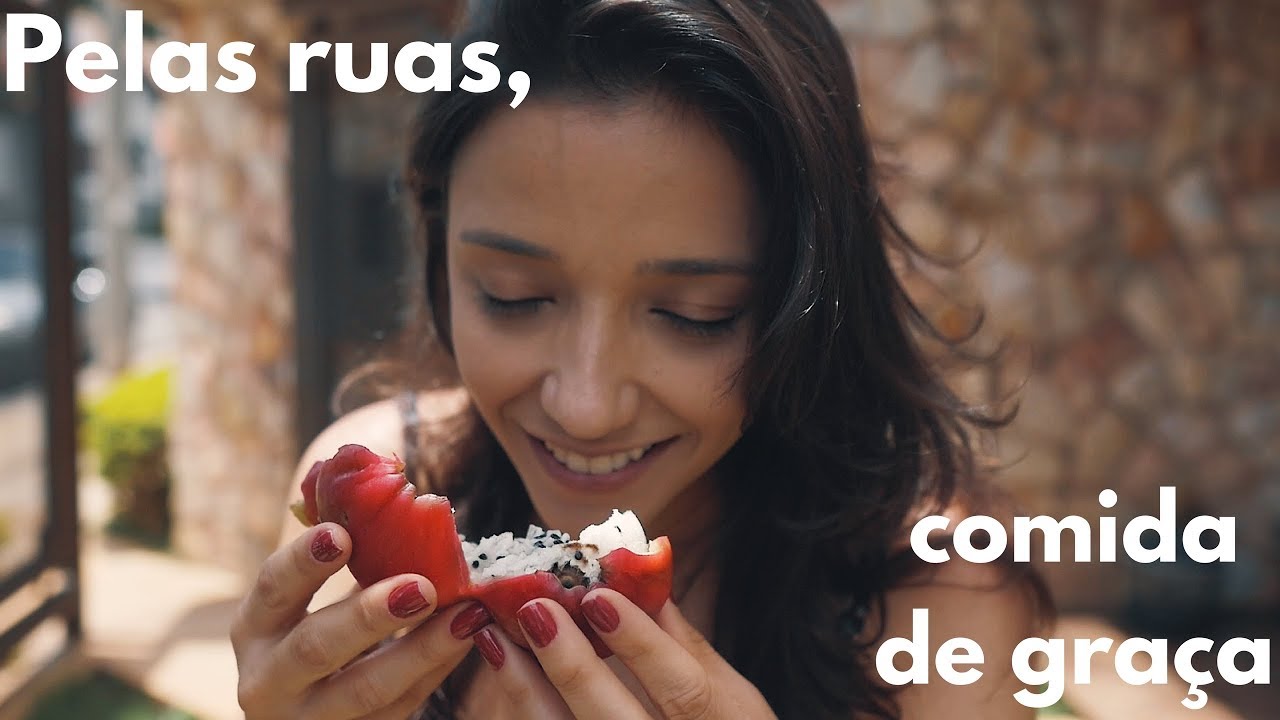 PANCS- Comida de graça