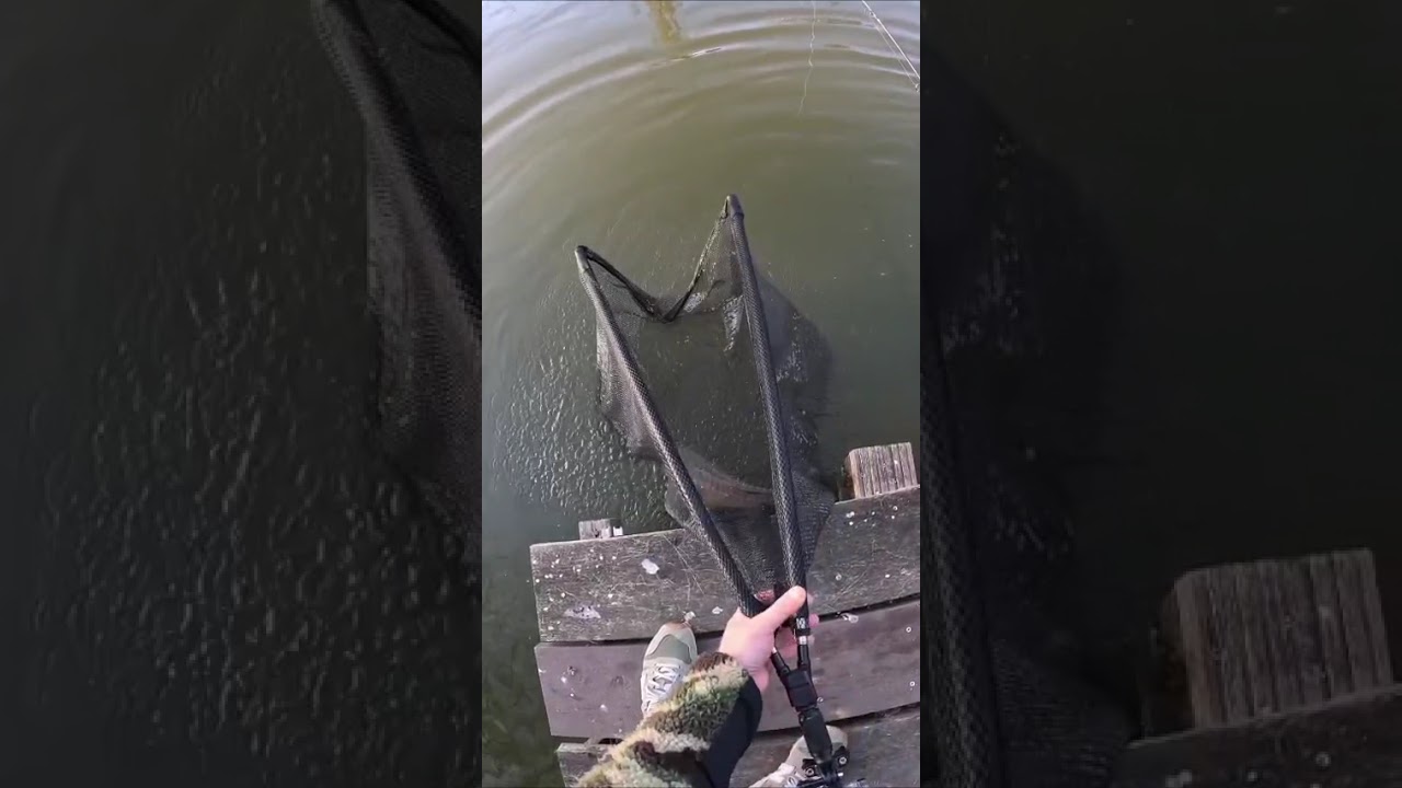 He hooked a MONSTER and the net did THIS!? 🤯 | Carp Premium Landing Net Test! #fish #hunting