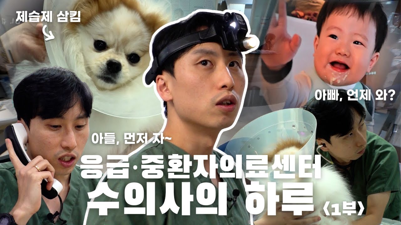 정시 퇴근? 그게 뭐죠? 24시 응급•중환자의료센터 수의사의 하루ㅣ슬기로운 해마루 생활
