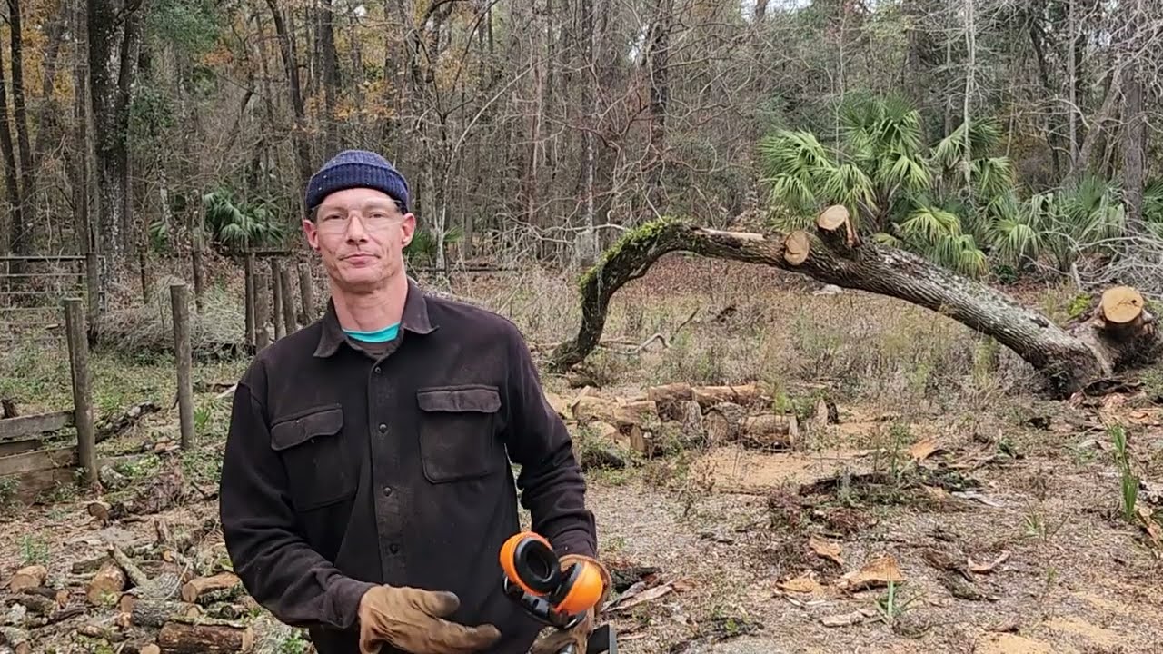 Live Oak Tree Part 4