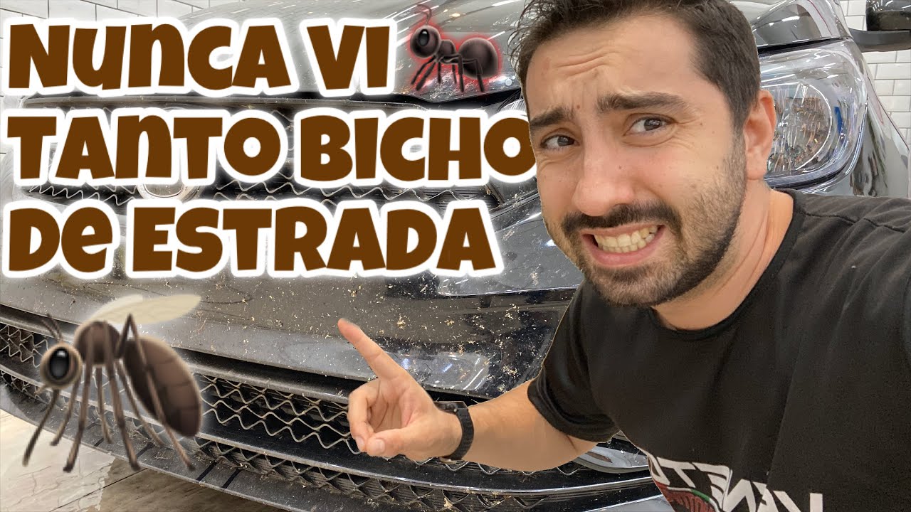 COMO REMOVER BICHO E INSETO GRUDADO NO CARRO | O Jeito Mais Fácil de Todos