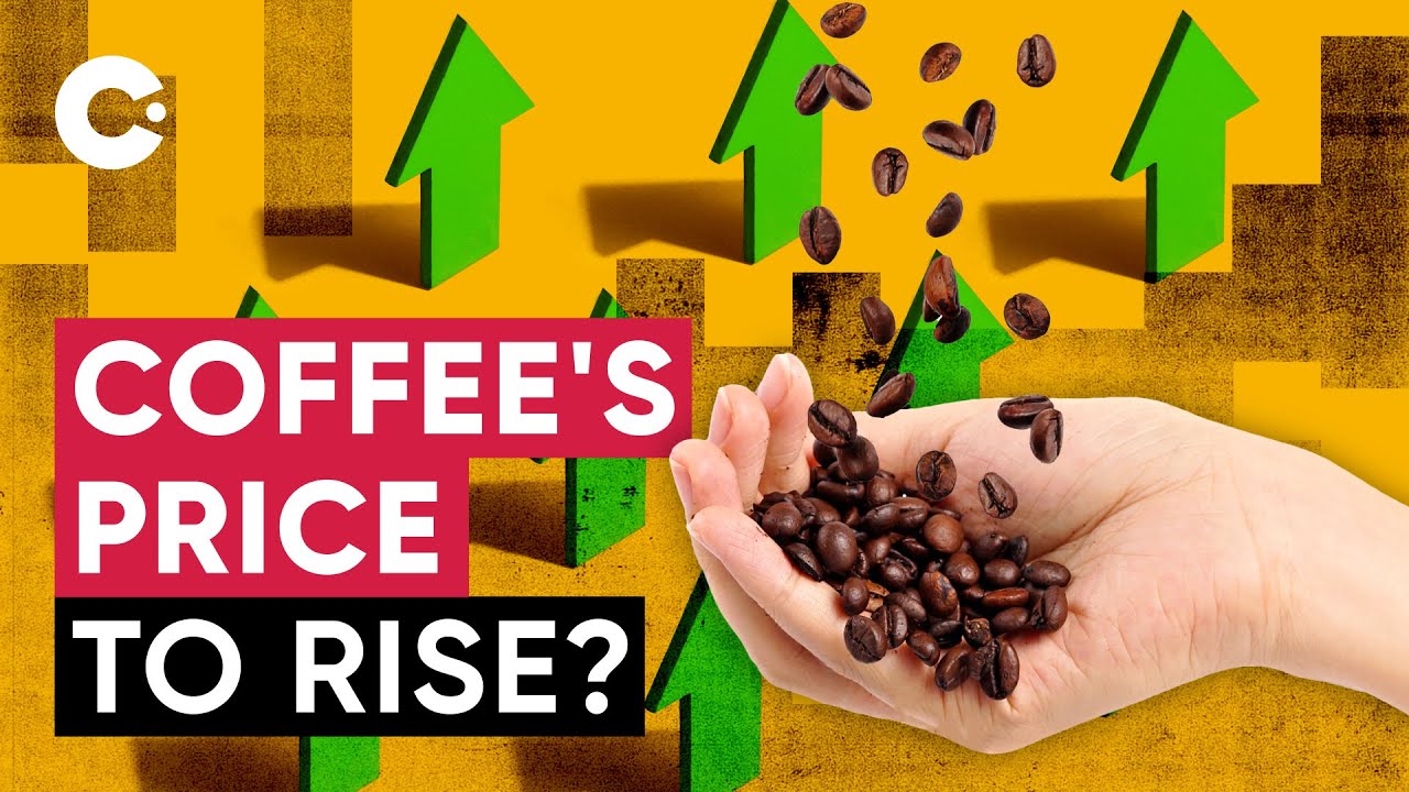 Coffee: What Moves its Price? | Explaining the Economics of Coffee