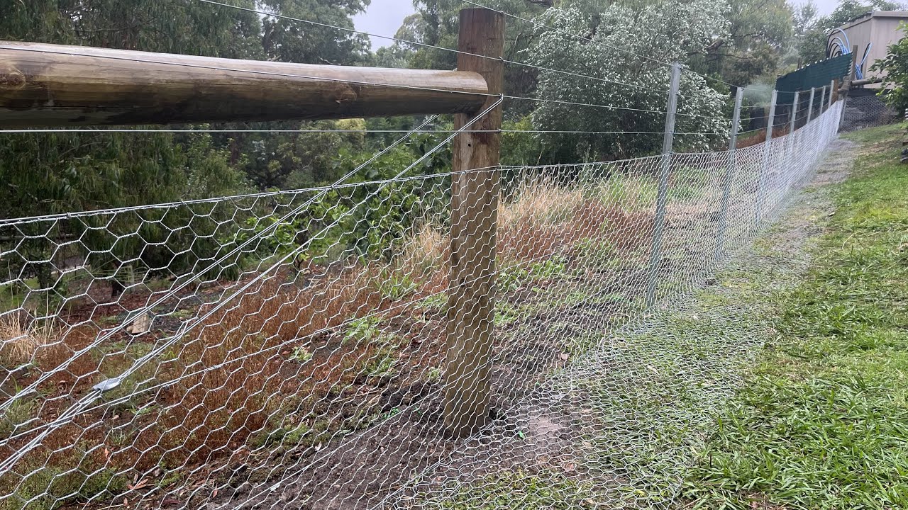 Constructing a heavy mesh (chicken wire) dog and rabbit proof fence