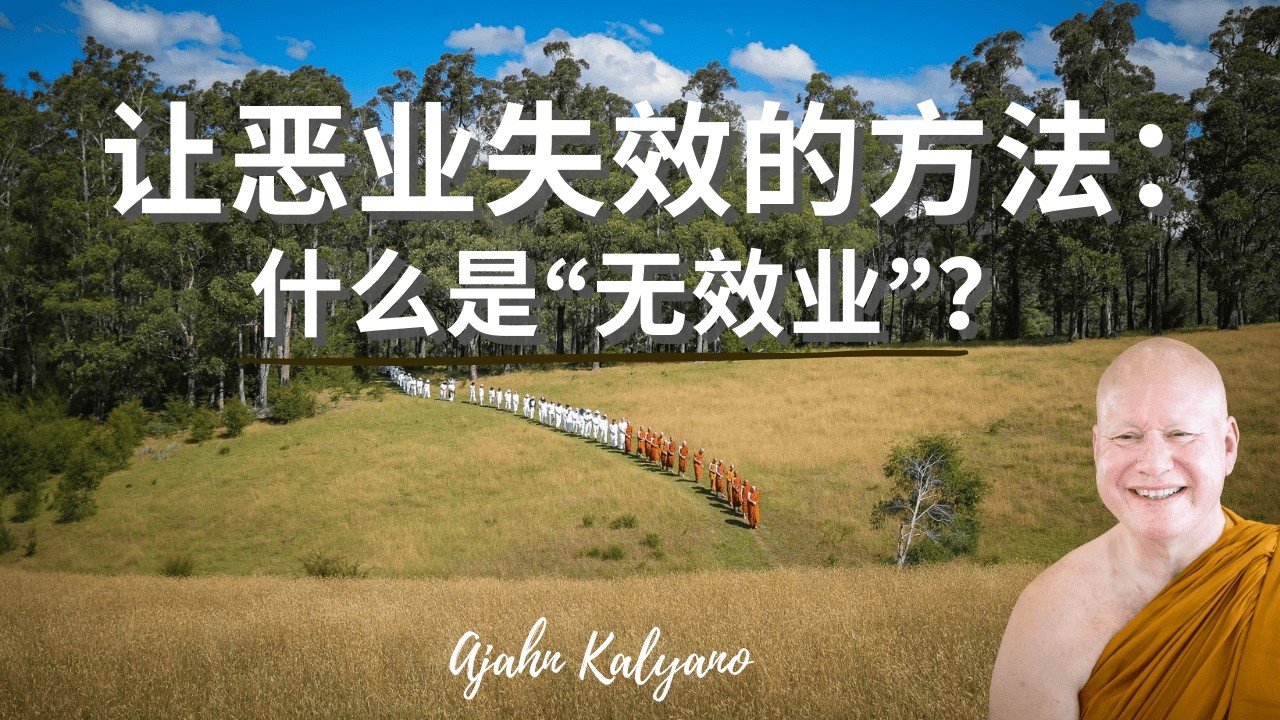 佛学问答：无效业｜如何让恶业彻底失效？Ahosi Kamma