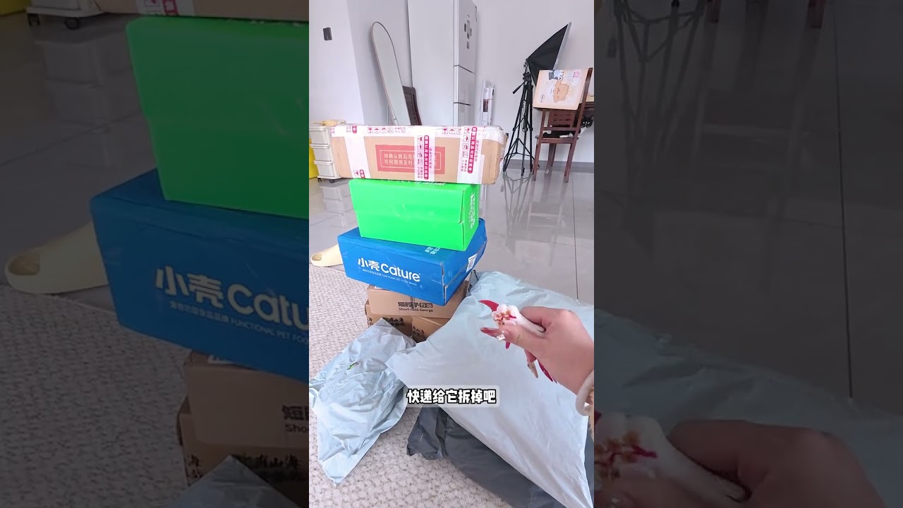 A 24-year-old full-time self-media creator s cat-keeping vlog A 12-minute super long cat-k