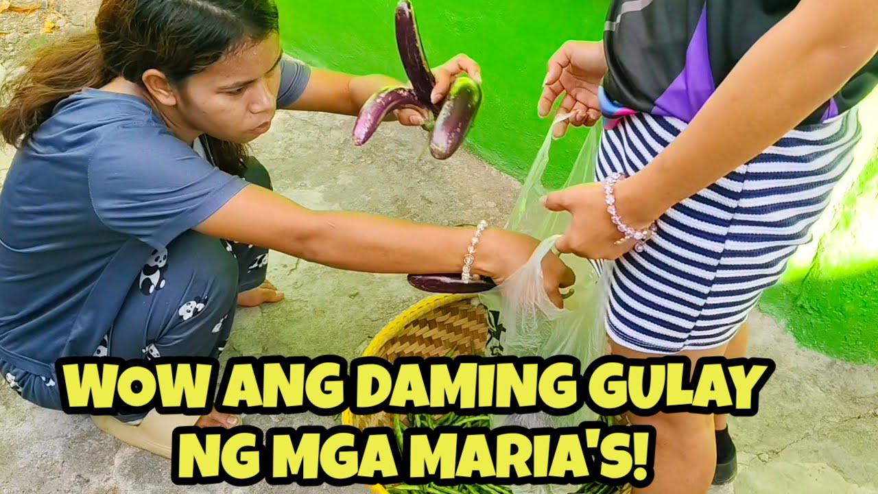 SAAN KAYA GALING MGA GULAY NG MGA MARIA'S?