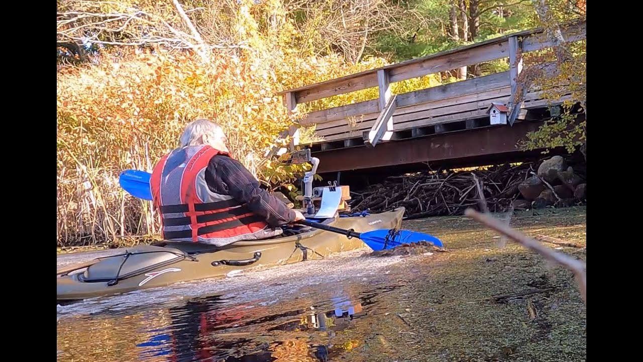 KAYAKING  BEAVER  BROOK