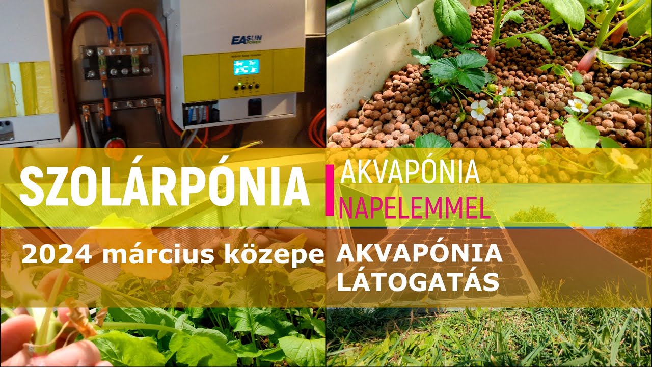 Nem vagyok egyedül :-)   AKVAPÓNIA LÁTOGATÁS