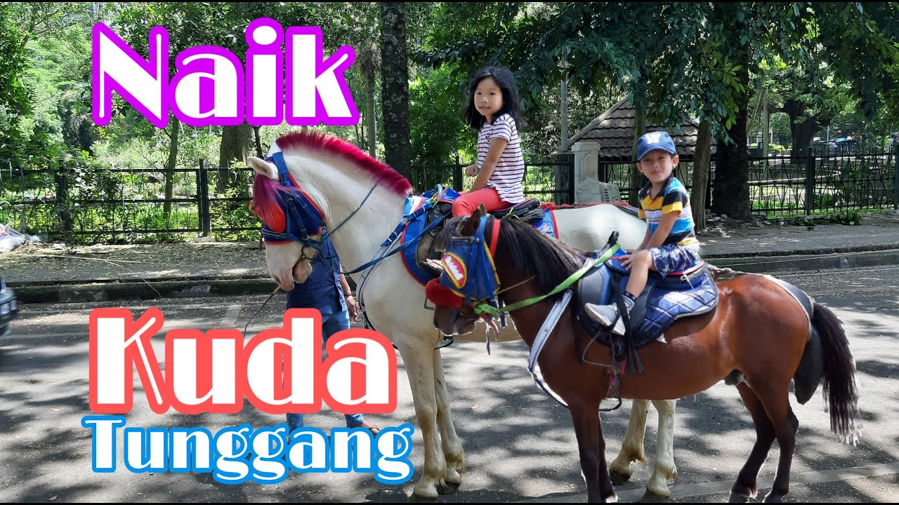 NAIK KUDA TUNGGANG
