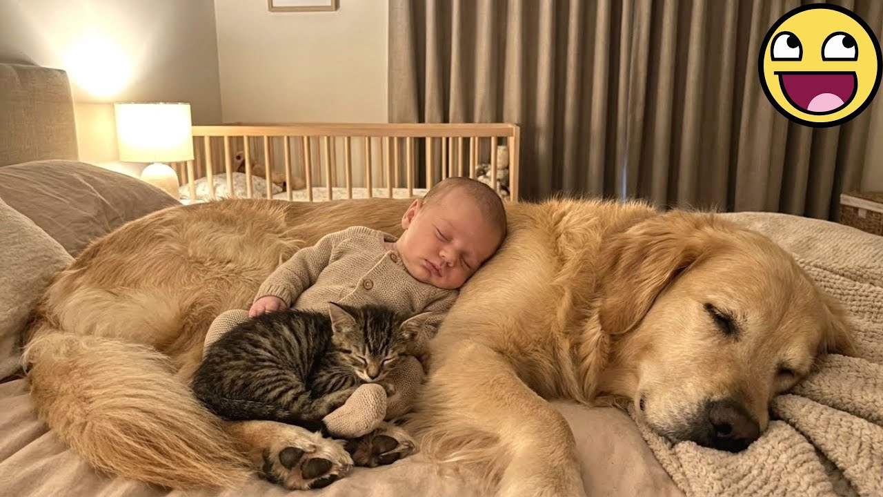 When your dog is gentle with the little angel 💞🐶