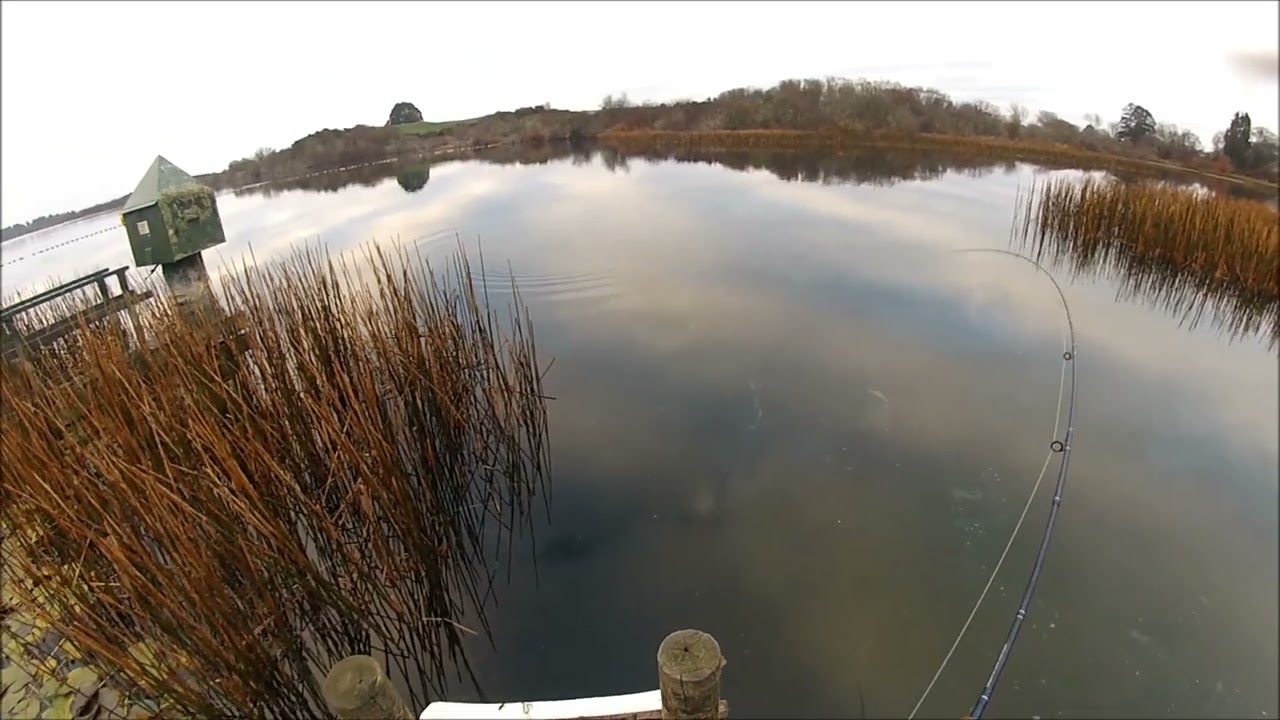 NEW ZEALAND TROUT FISHING MAGPIES 2