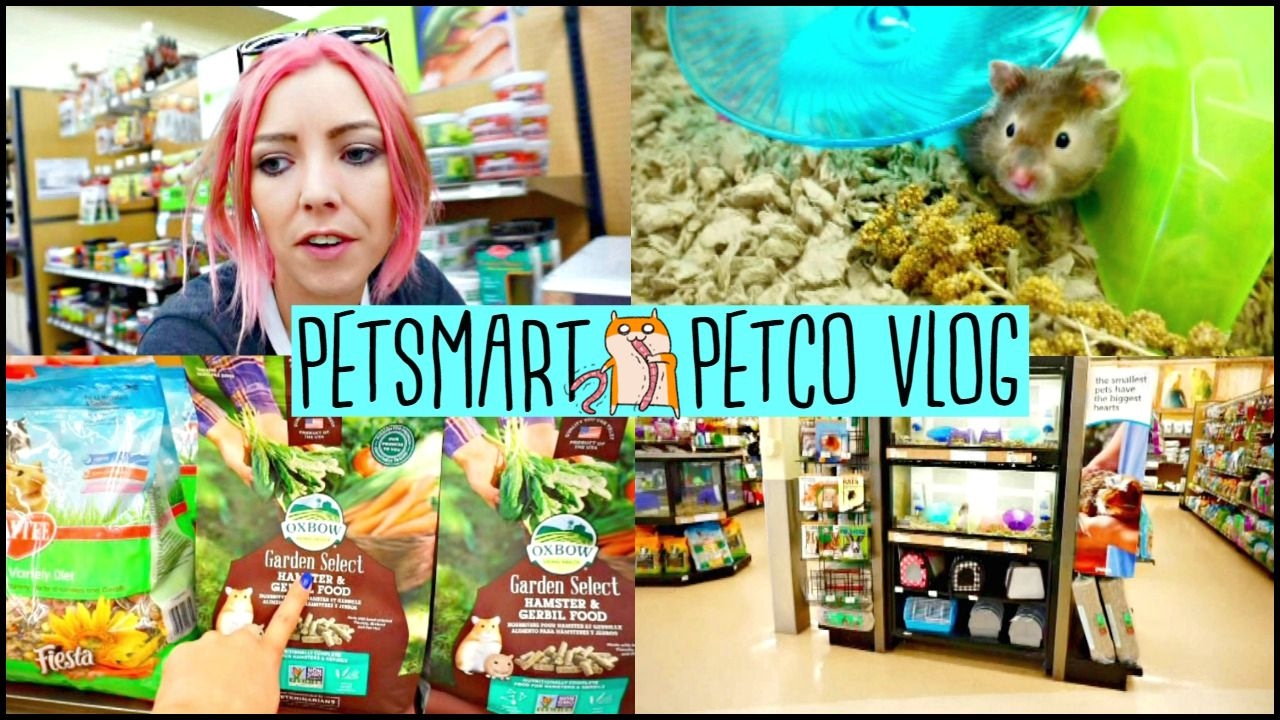 PETSMART & PETCO VLOG | Cute Hamsters,Fiddler Crabs & NOT ALLOWED TO FILM?