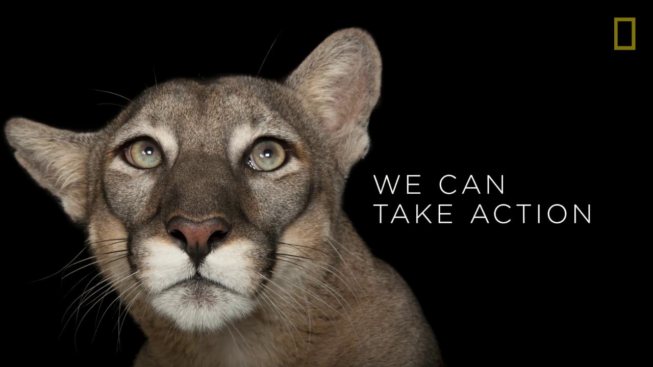 National Geographic Photo Ark | Lamar Advertising Company