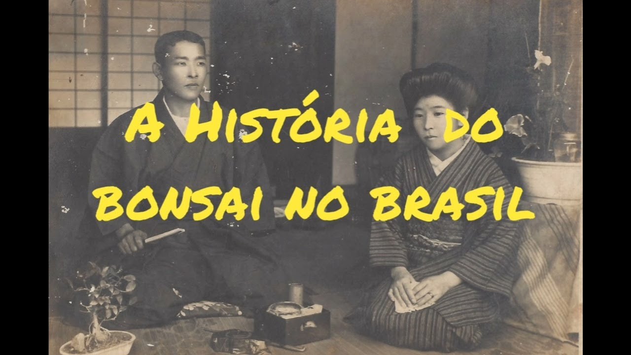 A Hist&oacute;ria do Bonsai no Brasil