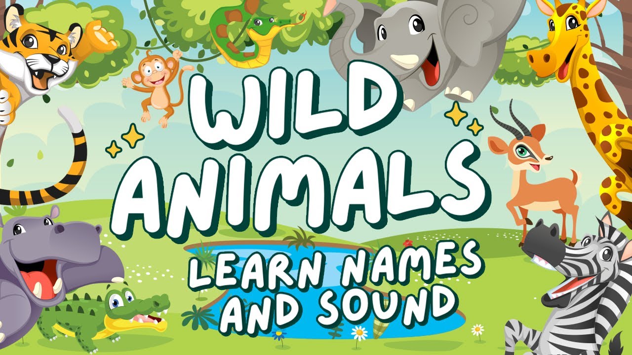 Wild Animals Name And Sound For Kids | Preschool, Kindergarten, Toddler