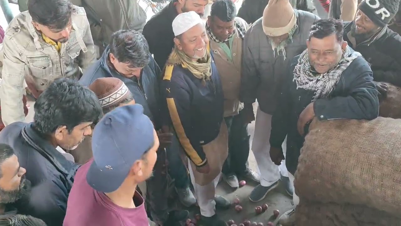 5 February2026 pyaj thok mandi bhav #viralvideos 