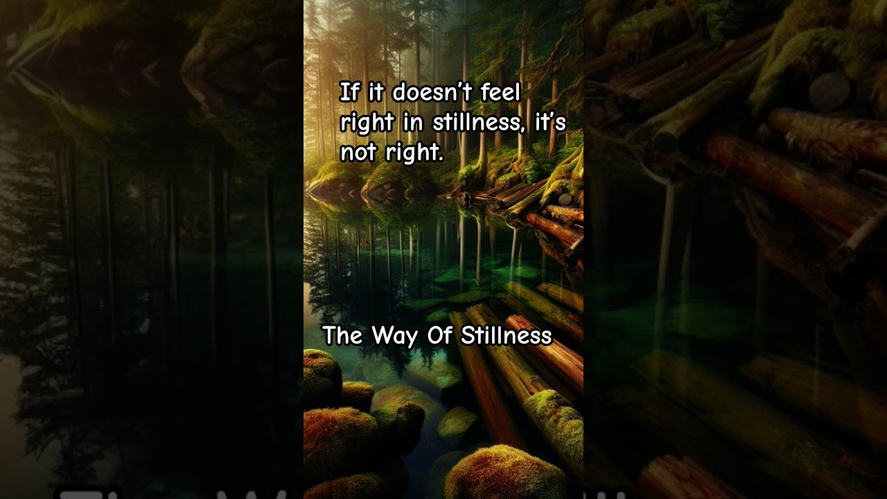 If it doesn&rsquo;t feel right in stillness, it&rsquo;s not right. #philosophy #thewayofstillness #calmpath
