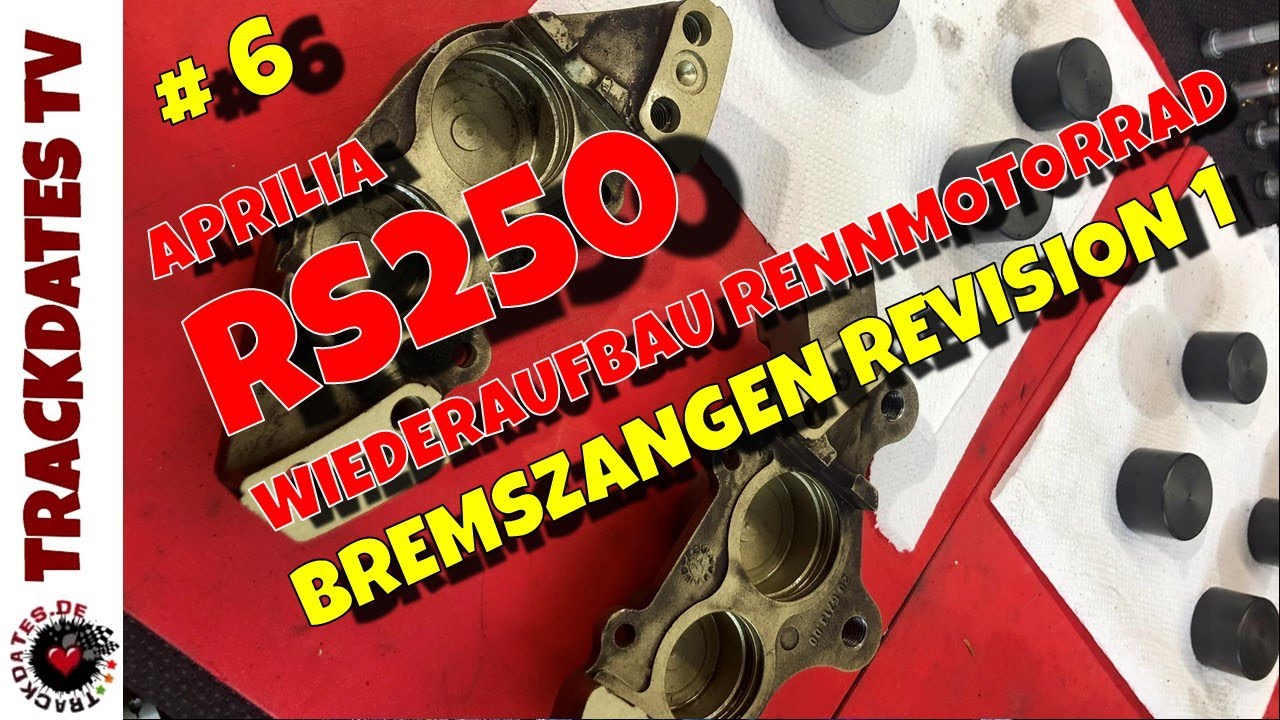 Teil 6 | Bremssystem revidieren | Bremsbeläge ausbauen | APRILIA RS250 | Wiederaufbau Rennmaschine