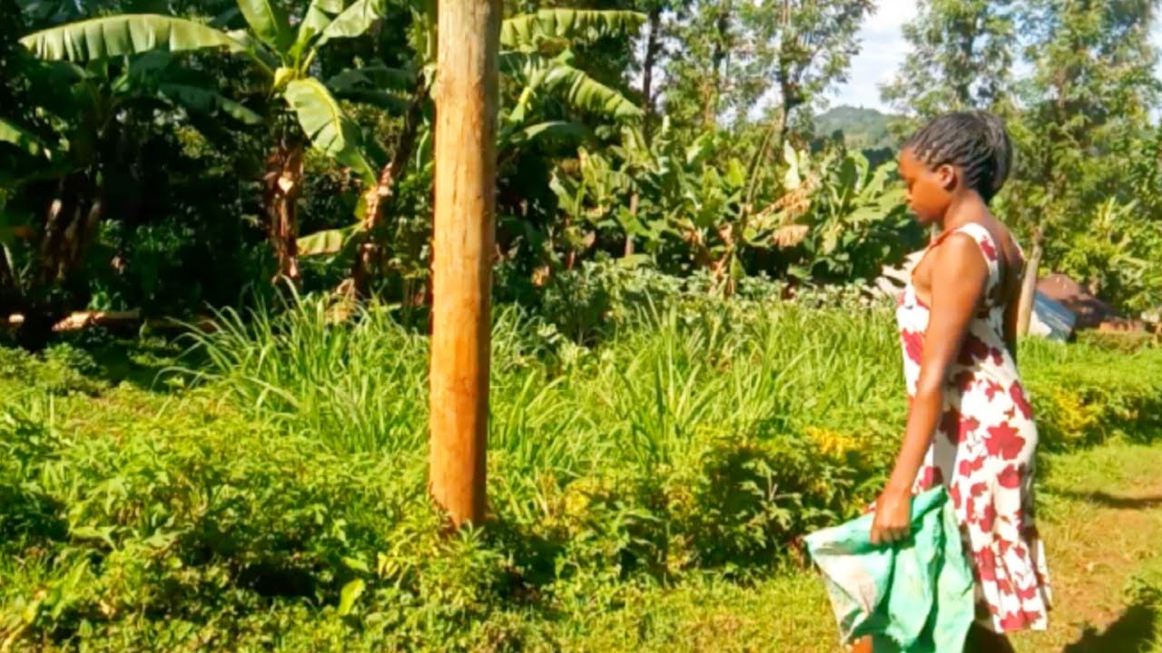 Planting Bananas in the Village + Ringlight Unboxing | Simple Lifestyle Vlog Kenya