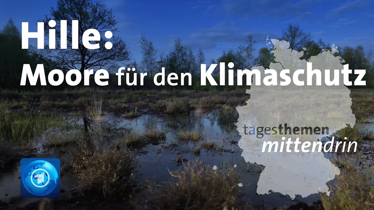 Hille: Moore für den Klimaschutz | tagesthemen mittendrin