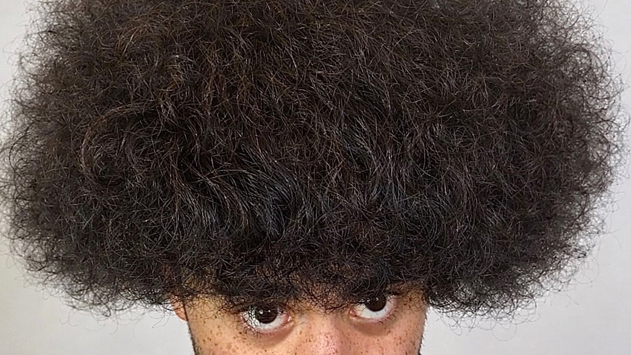 THIS IS AN OVERWHELMING AMOUNT OF FRIZZ