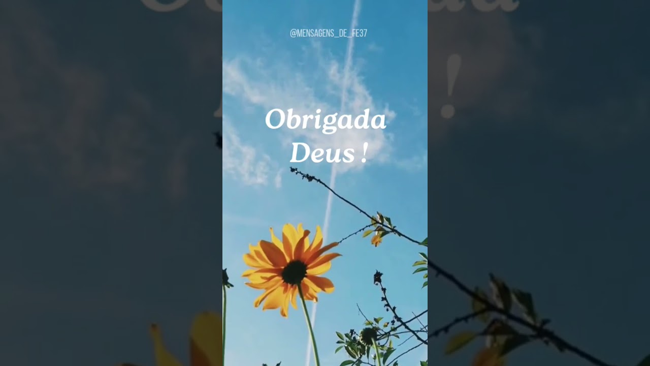 Obrigada Deus 
