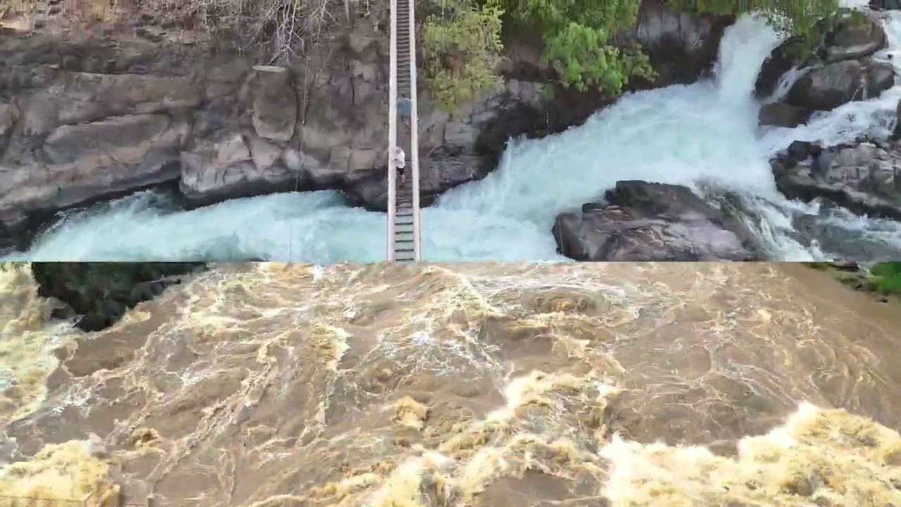 Experience the Power of LiPhi Waterfall from Our Suspension Bridges! ( 4000 Islands Adventure)