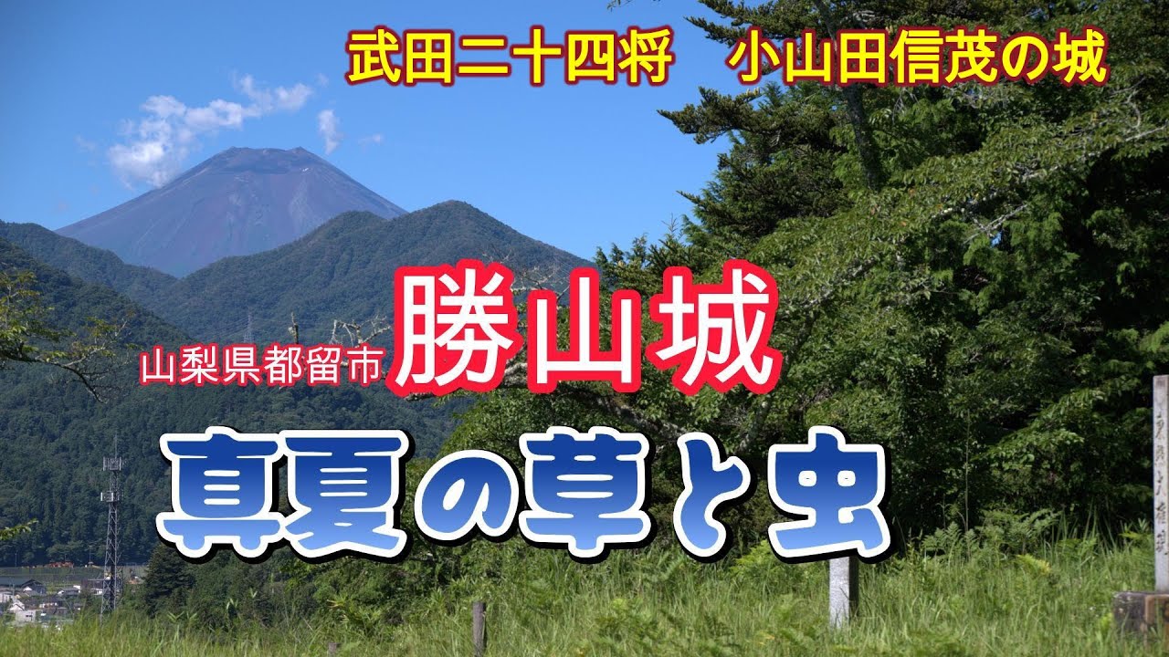 武田二十四将であり勝頼を裏切った小山田氏の勝山城