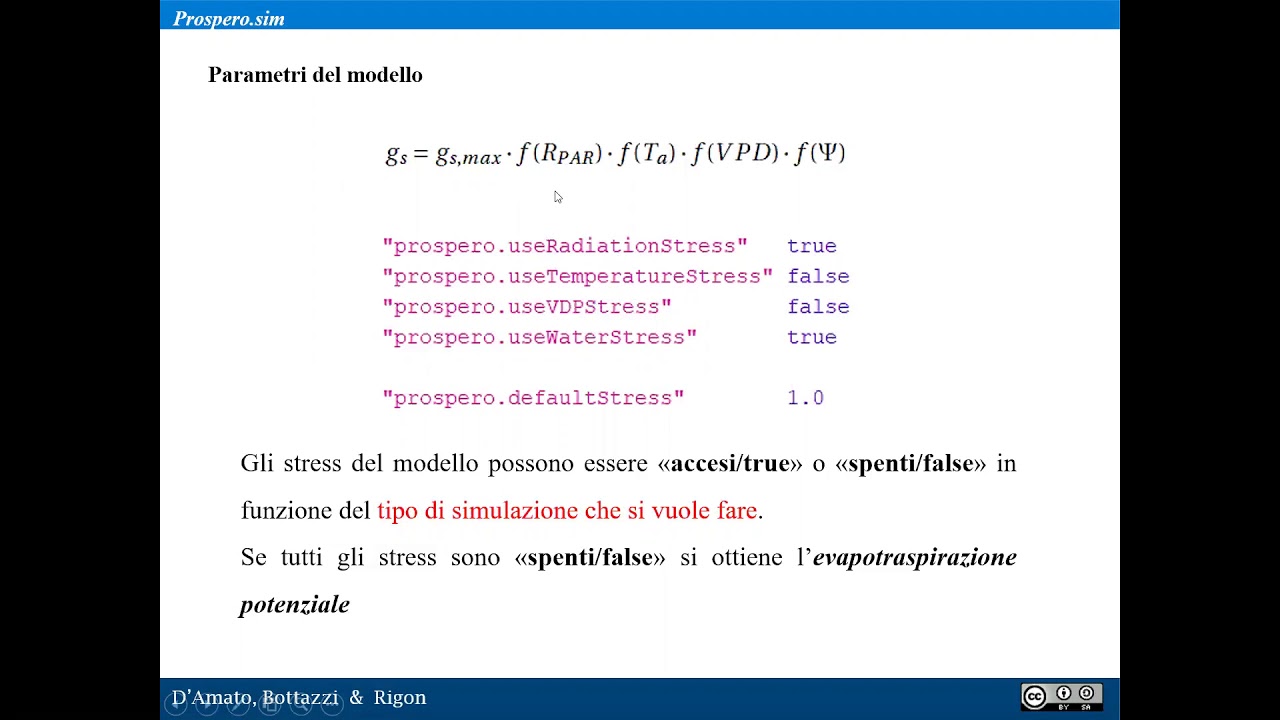 A little about the Prospero Model