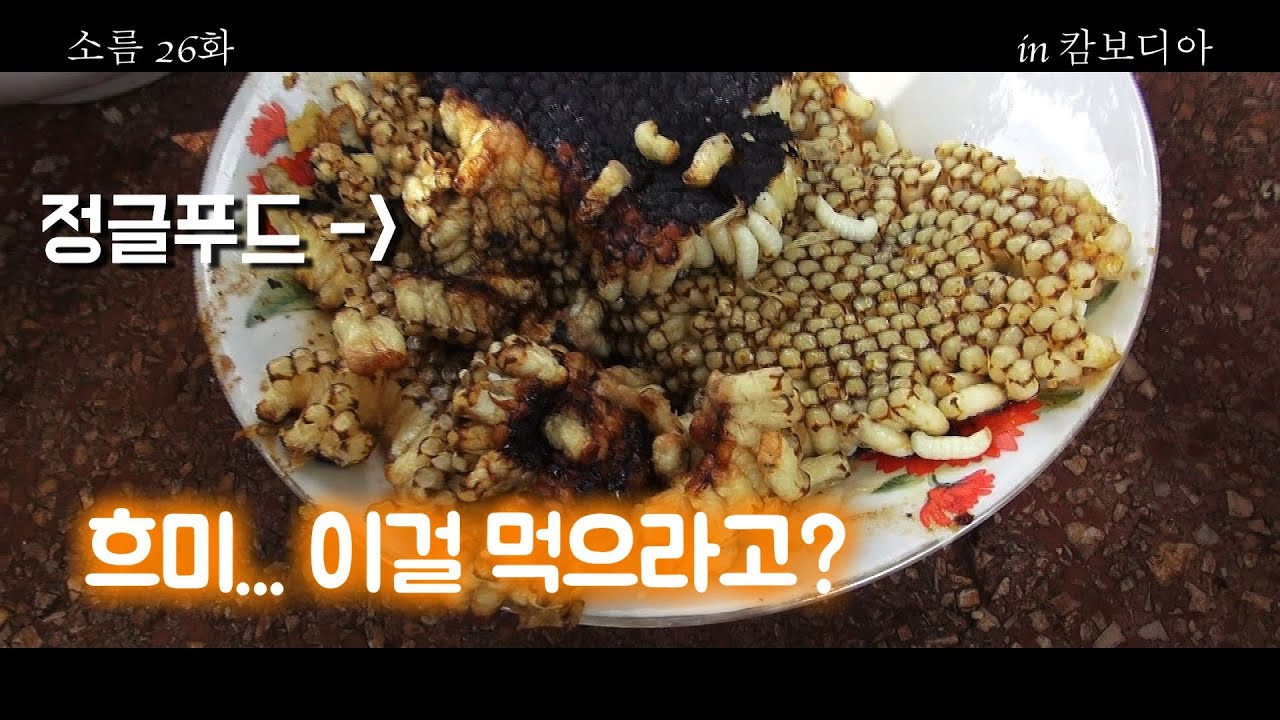 캄보디아 정글에서 공수한 벌레 요리~ 소름돋는 요리의 정체는? [공포 NO.1 채널]