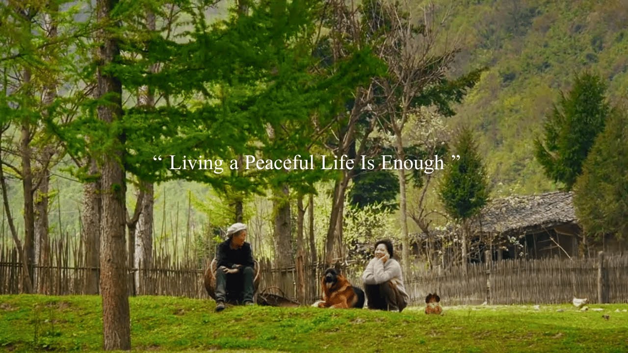 Living a Peaceful Life Is Enough... (a gentle relaxing playlist)