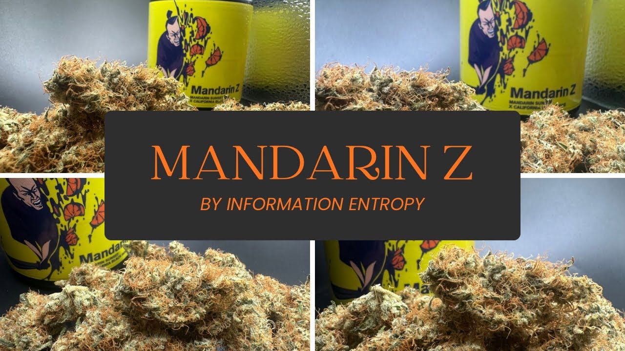 Mandarin Z by Information Entropy Review