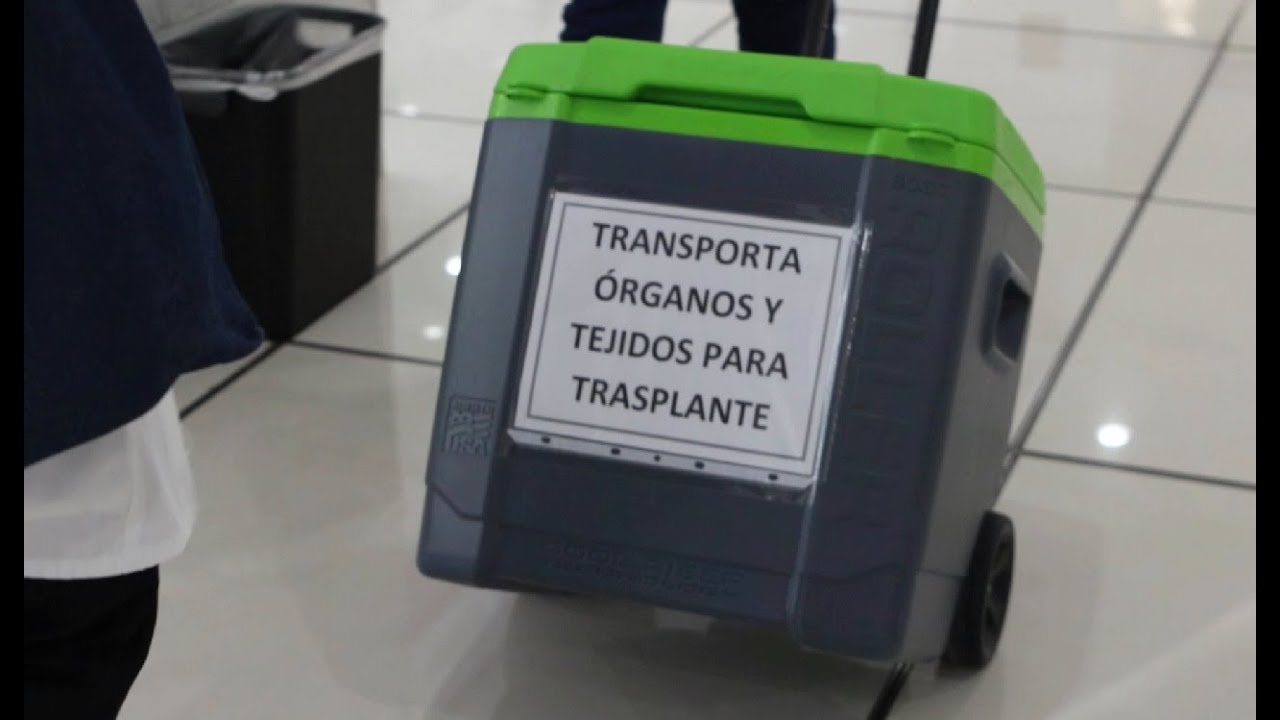 Cómo ayuda Volaris al traslado de órganos y tejidos para fines de trasplante