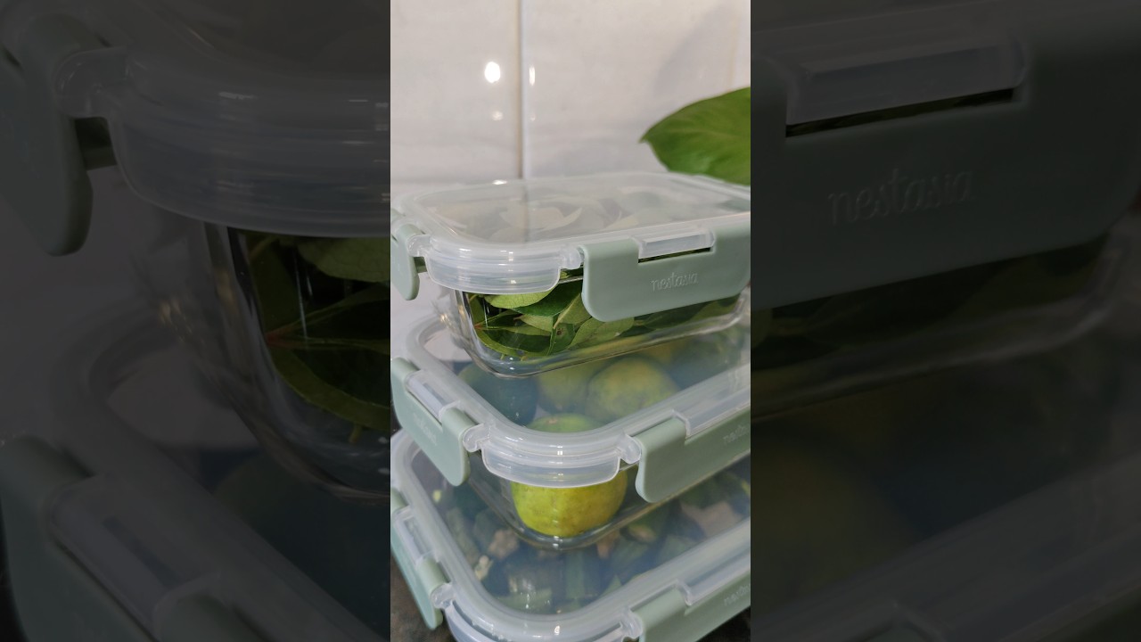 nestasia glass containers 