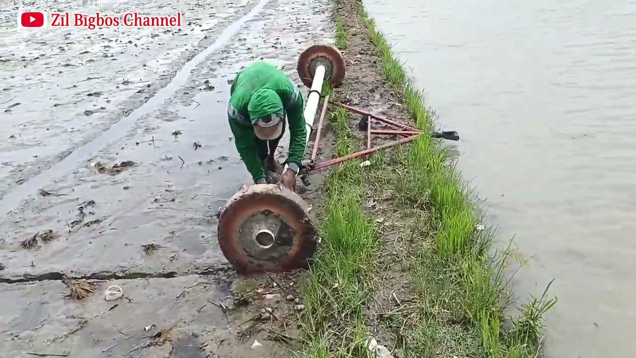 Tanam benih langsung menggunakan pipa/alat tabela padi