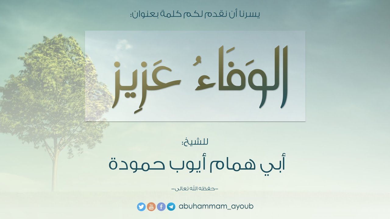 الوفاء عزيز -  الشيخ أبو همام أيوب حمودة