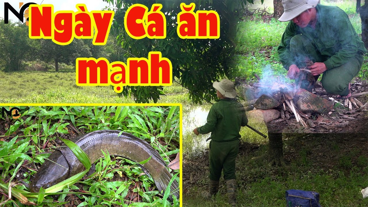Hành trình săn cá lóc hugo tập 62