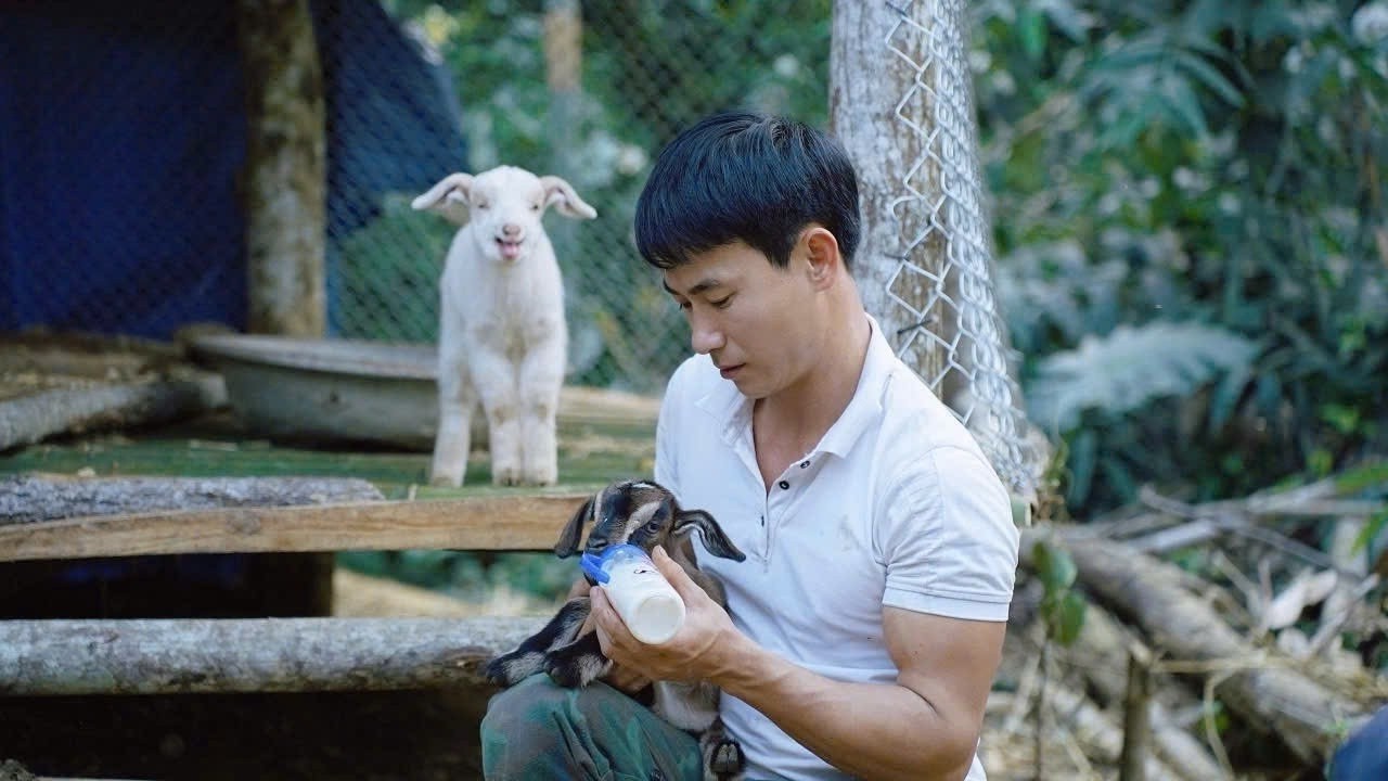 The little goat beams with happiness as it senses the genuine love and care from the CEO