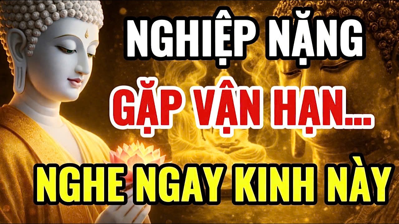 Kinh Sám Hối Mỗi Đêm: Giải Nghiệp Chướng, Mở Cung Tài Lộc, Gia Đình Viên Mãn.#phatphap #loiphatday