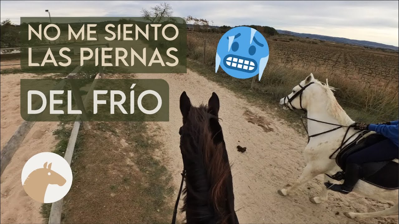 Montando a Caballo a 0 Grados | Equitación Sin Estrés