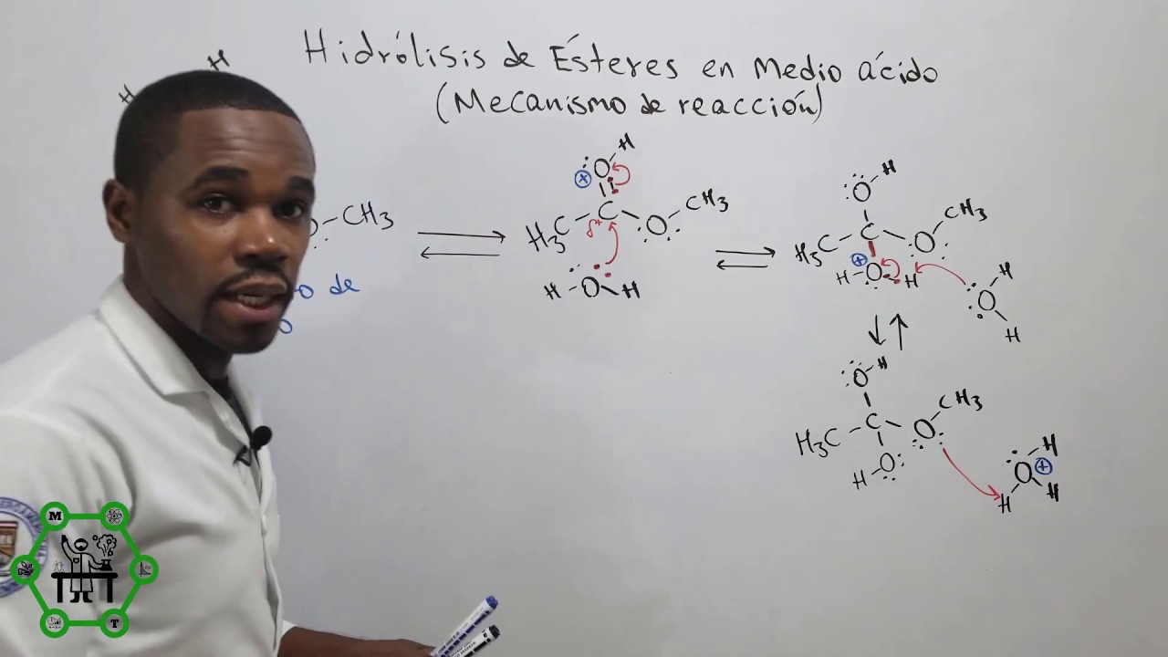 Hidrólisis Ácida de Ésteres | Mecanismo de Reacción
