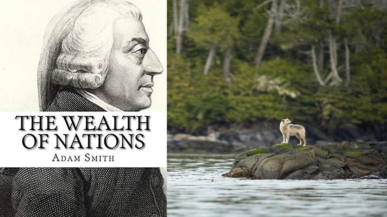 Nature-adjusted GDP: tracing the 'wealth of nations' back to the source