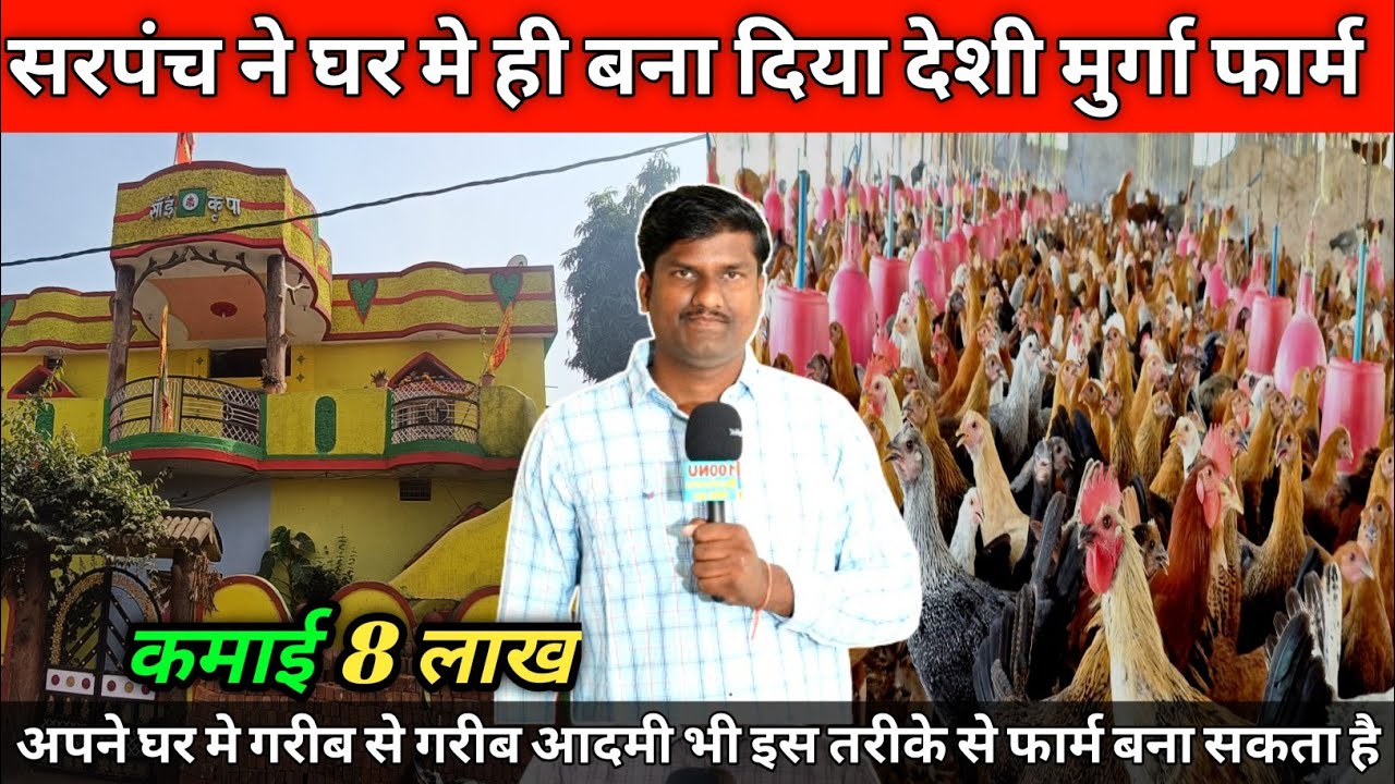 सरपंच जी ने अपने घर मे बना दिया देशी मुर्गा फार्म 2000 नग मुर्गा पालन आंगन मे कमाई 8 लाख 
