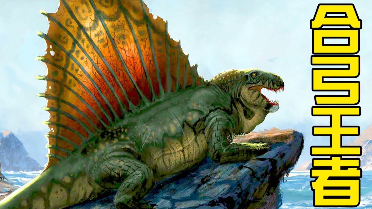 與龍族爭霸的野獸先輩！開啟獸類王朝的第一代王者，合弓綱是如何崛起的？为何石炭纪末期羊膜动物崛起了？丨合弓綱01丨獸族時代