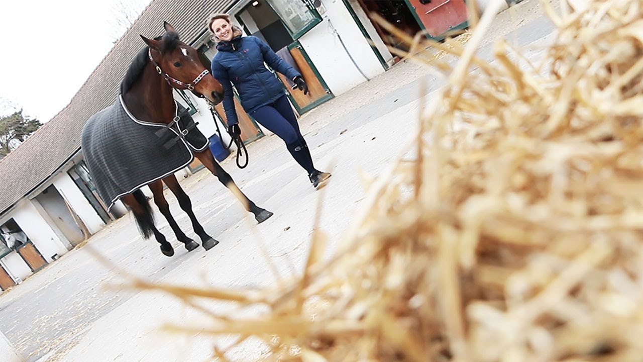 #EquestrianLife : SOINS I Éviter les coups de froid !