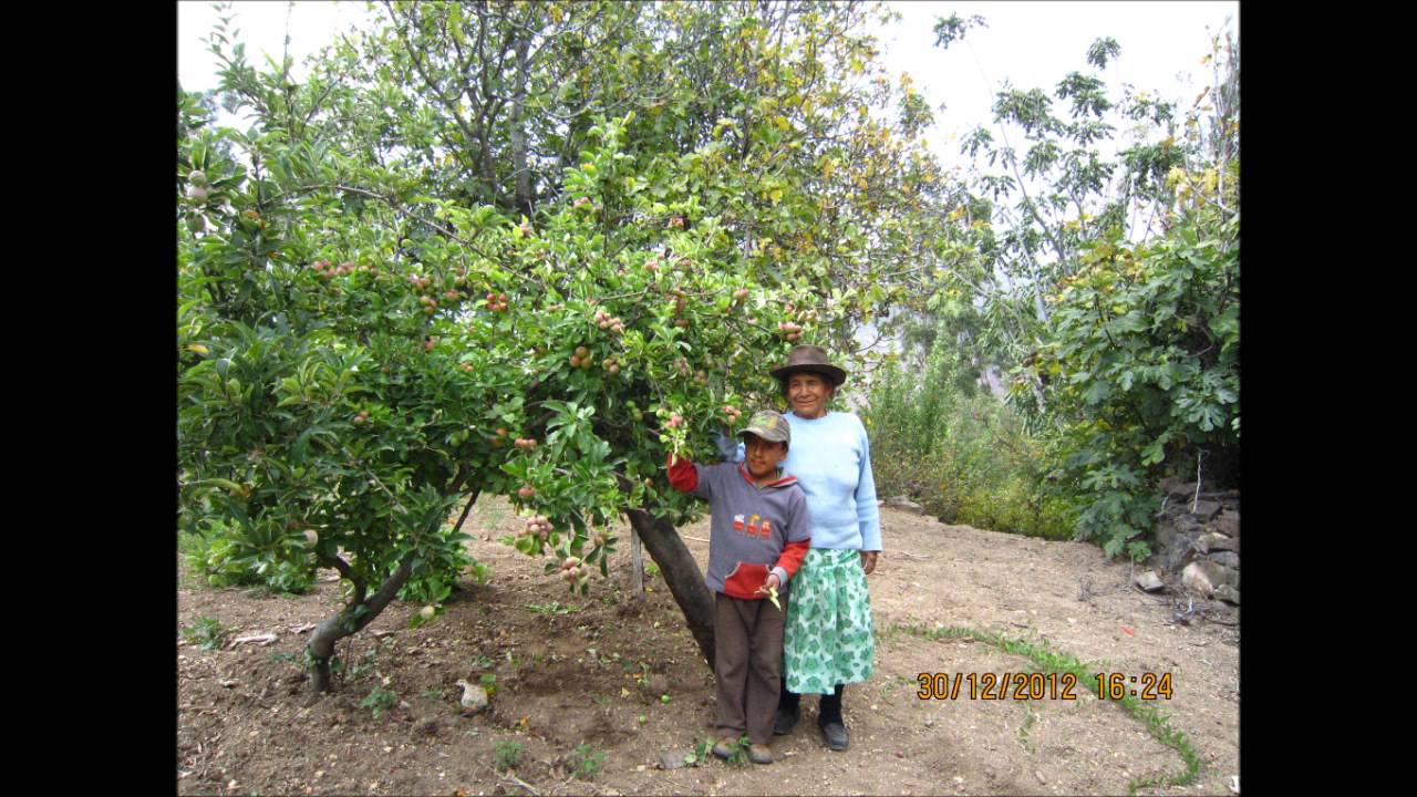 Puquio Lucanas Ayacucho